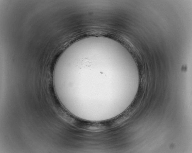 X0000102340459200808010917