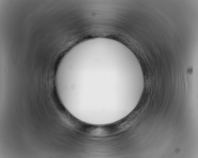 X0000102340460200808010917