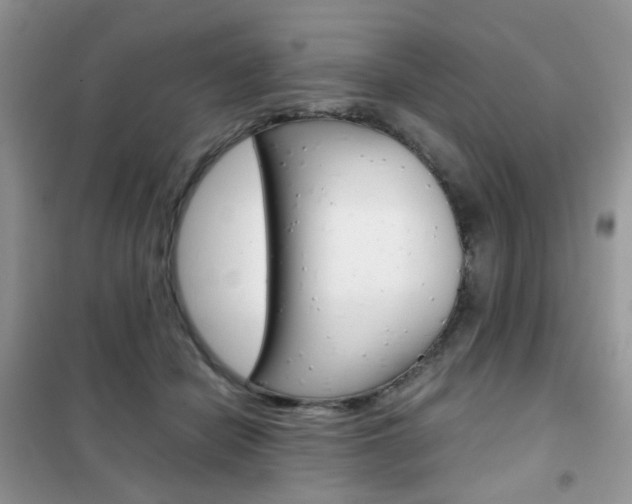 X0000102340462200808010917