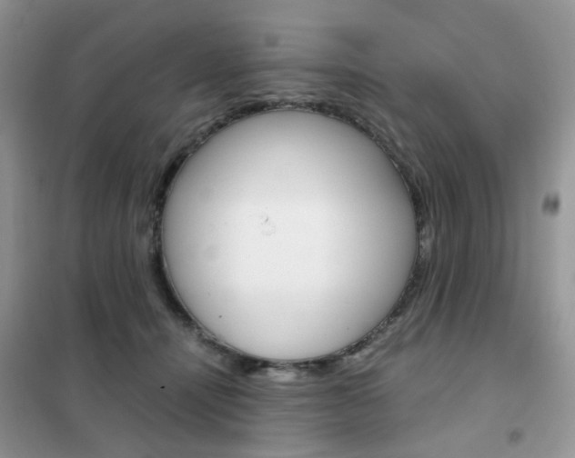 X0000102340464200808010917