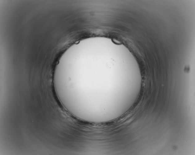 X0000102340466200808010917