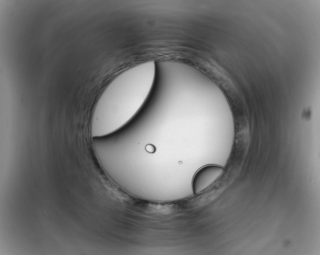 X0000102340469200808010917