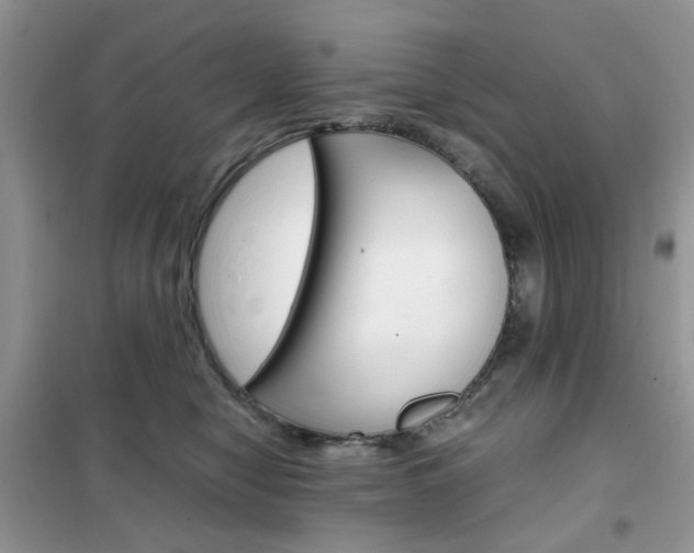 X0000102340470200808010917