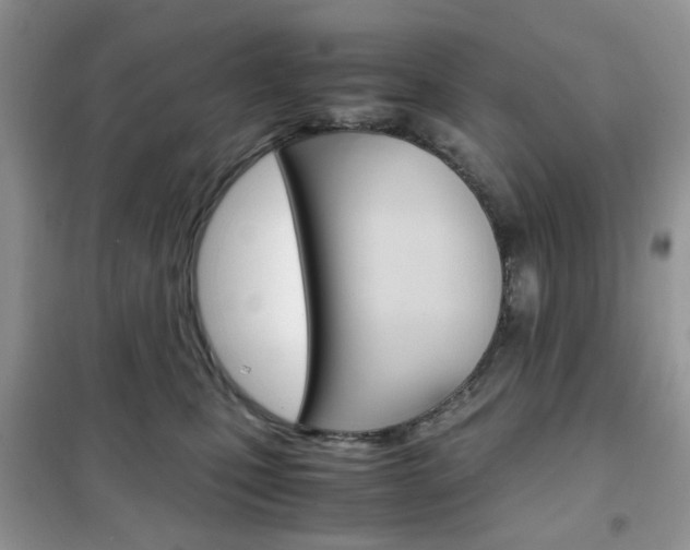 X0000102340471200808010917