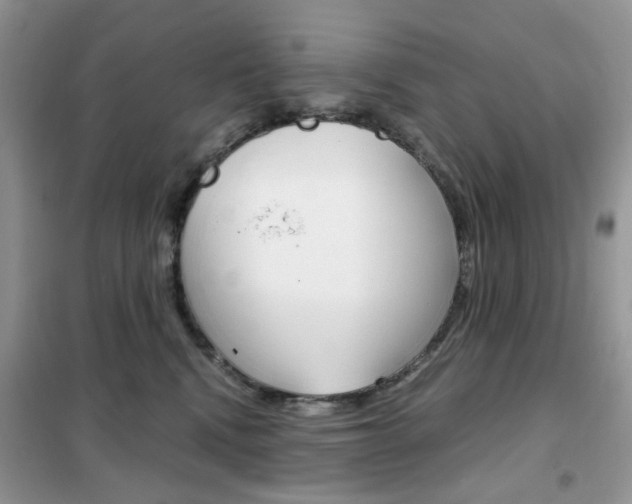 X0000102340472200808010917