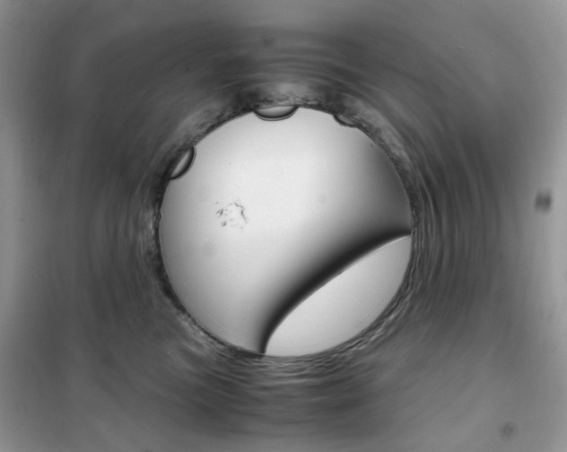 X0000102340473200808010917