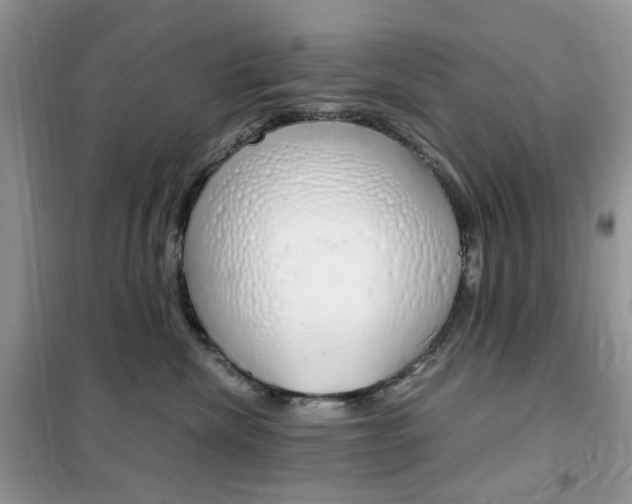 X0000102340476200808010917