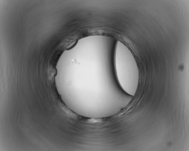 X0000102340477200808010917