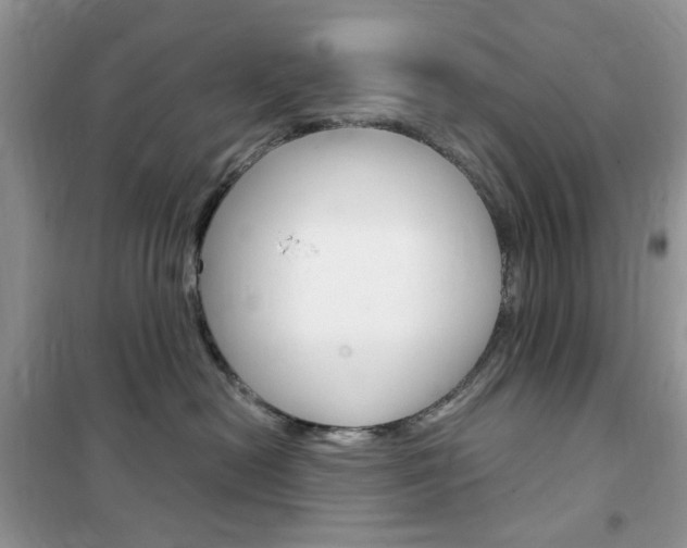 X0000102340478200808010917