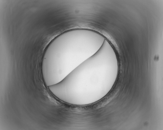 X0000102340481200808010916