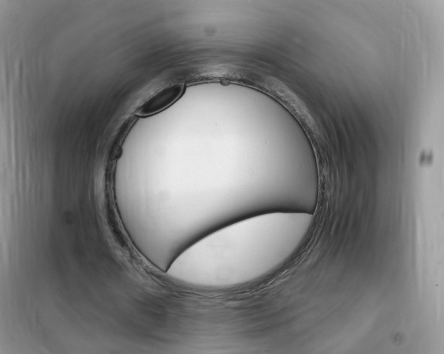 X0000102340482200808010916