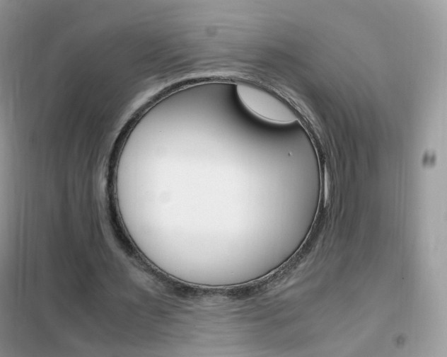 X0000102340483200808010916