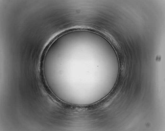 X0000102340484200808010916