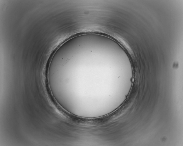X0000102340485200808010916