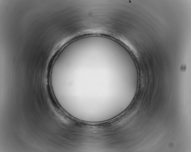X0000102340486200808010916