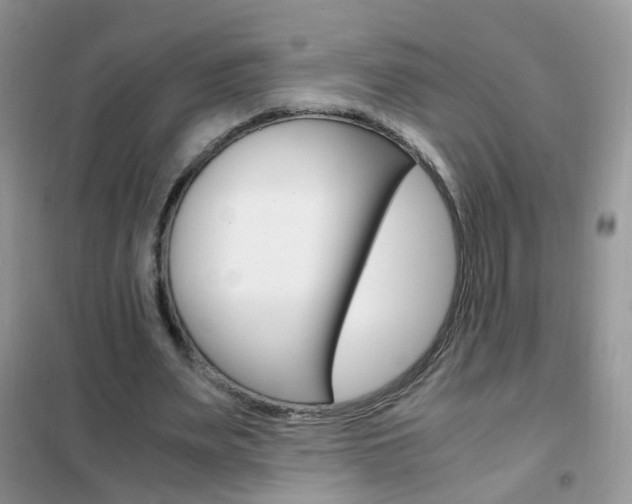 X0000102340487200808010916
