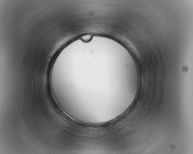 X0000102340488200808010916