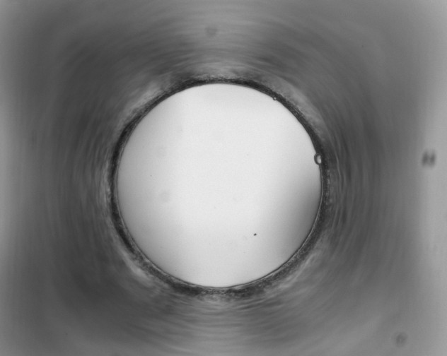 X0000102340489200808010916