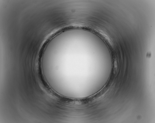 X0000102340492200808010916