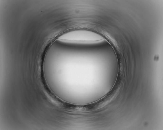 X0000102340493200808010916