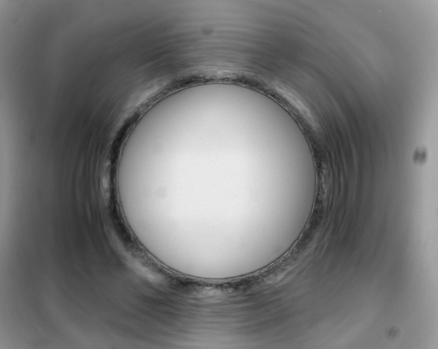X0000102340494200808010916
