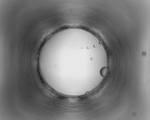 X0000102340495200808010916