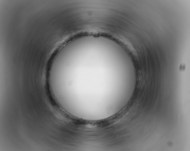 X0000102340496200808010916