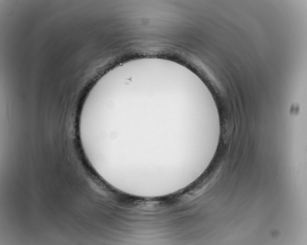 X0000102340497200808010916