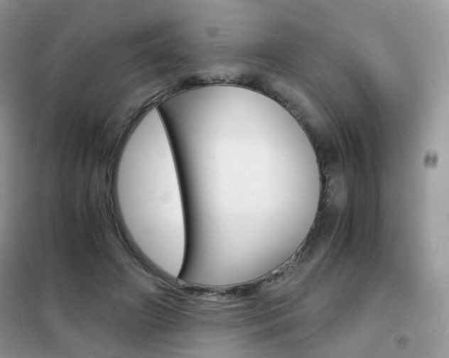 X0000102340498200808010916