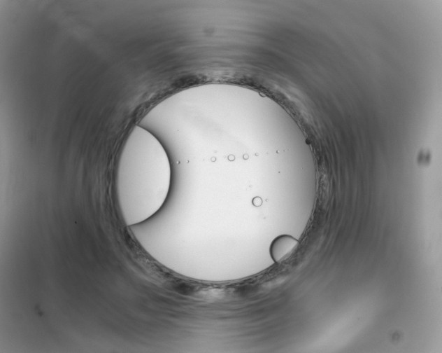 X0000102340499200808010916
