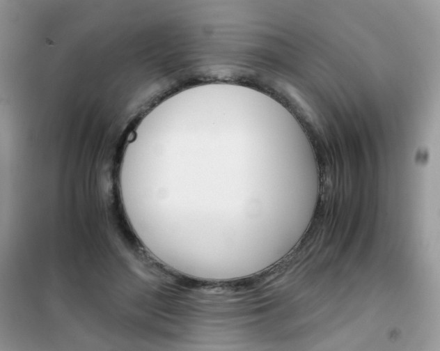 X0000102340500200808010916