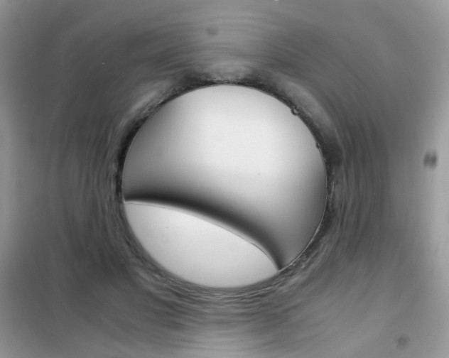 X0000102340501200808010916