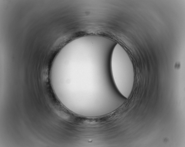 X0000102340502200808010916