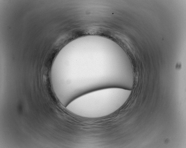 X0000102340503200808010916