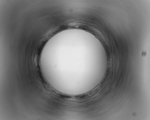 X0000102340504200808010916