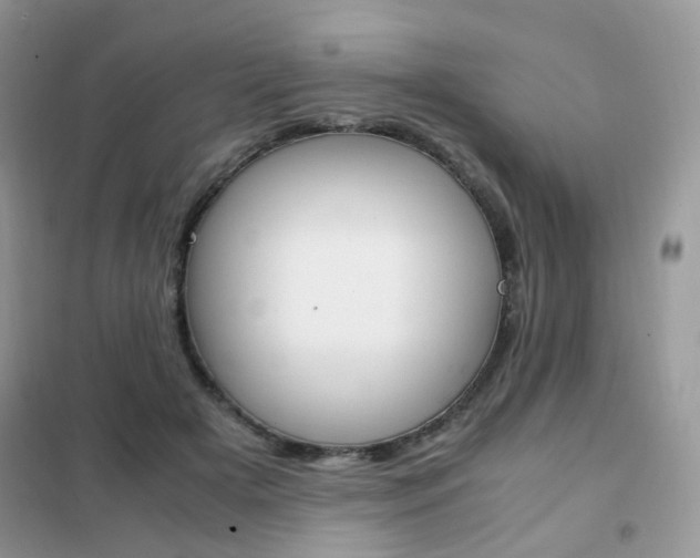X0000102340505200808010916
