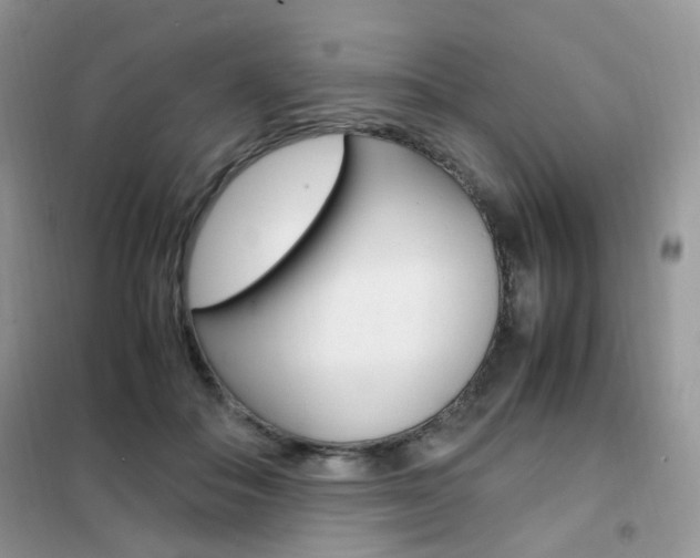 X0000102340506200808010916