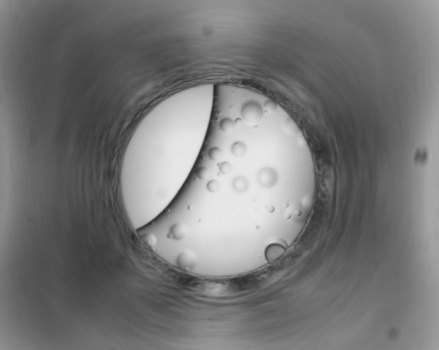 X0000102340507200808010916
