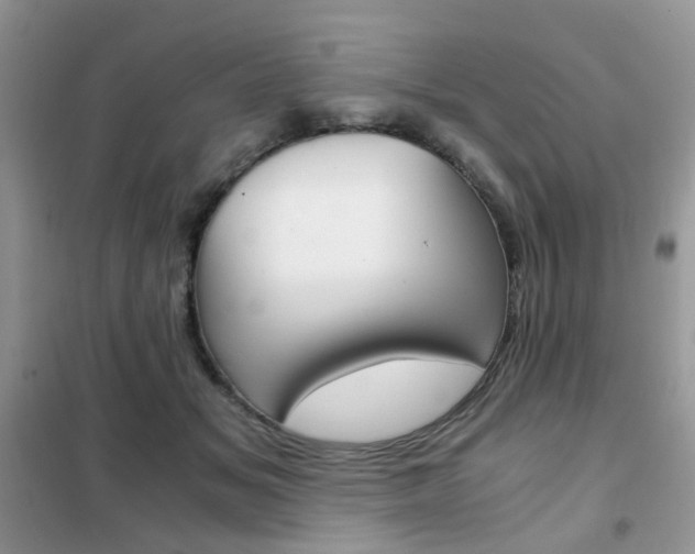 X0000102340509200808010916