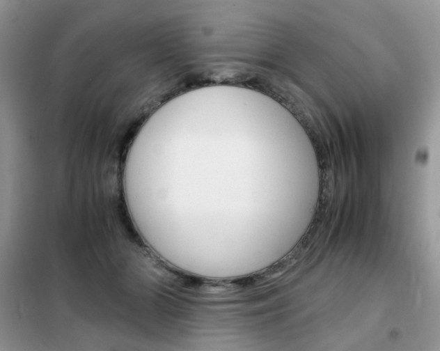 X0000102340510200808010916
