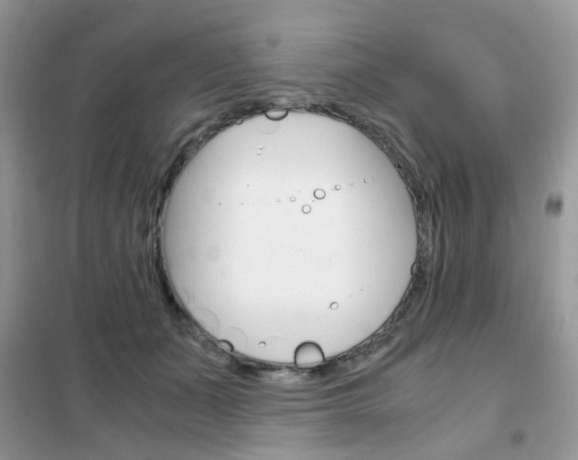 X0000102340511200808010916