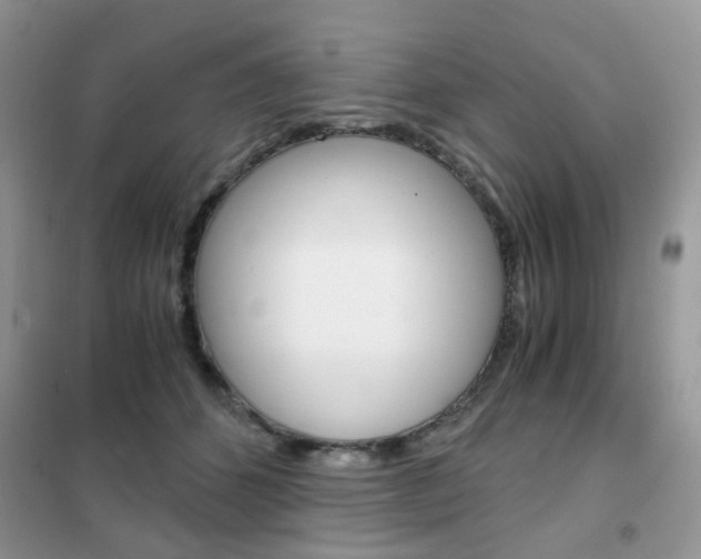 X0000102340512200808010916