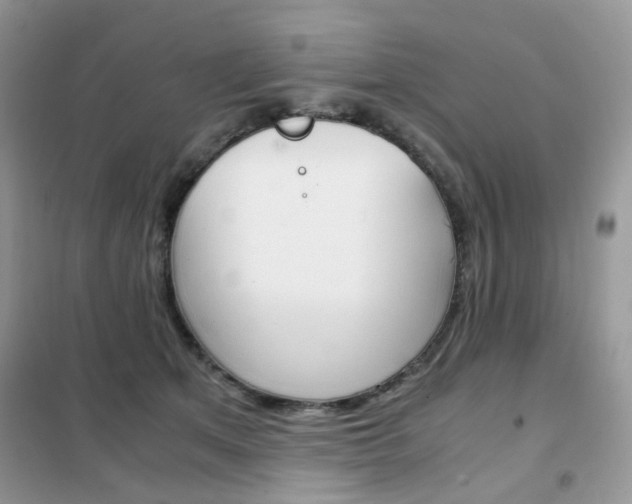 X0000102340513200808010916