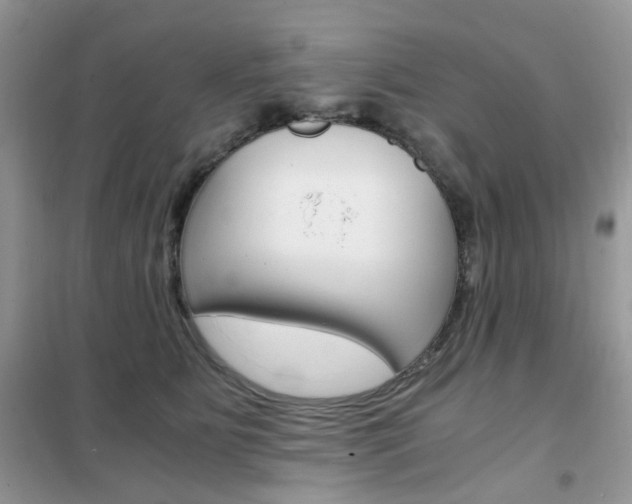 X0000102340515200808010916