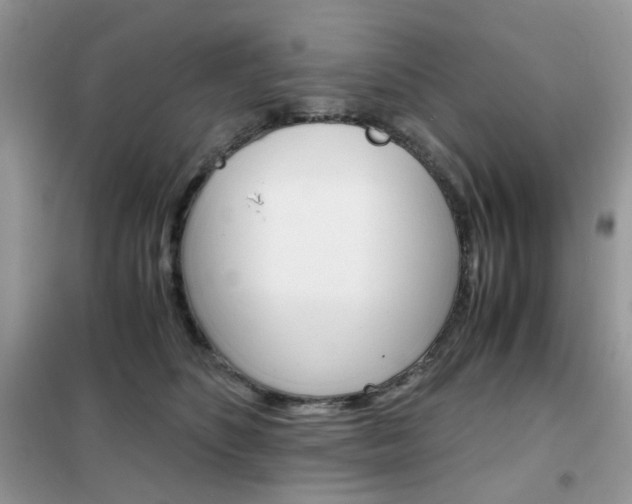 X0000102340516200808010916