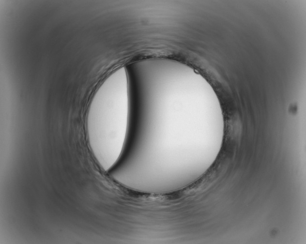 X0000102340517200808010916