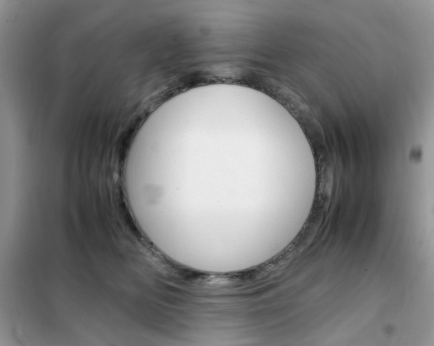 X0000102340518200808010916