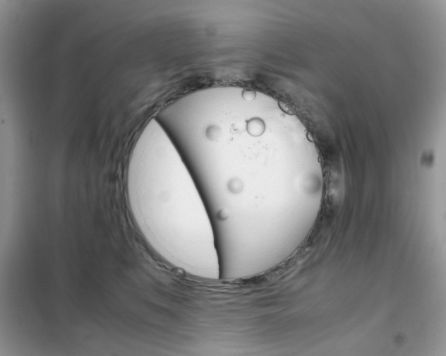 X0000102340519200808010916
