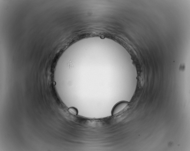 X0000102340520200808010916