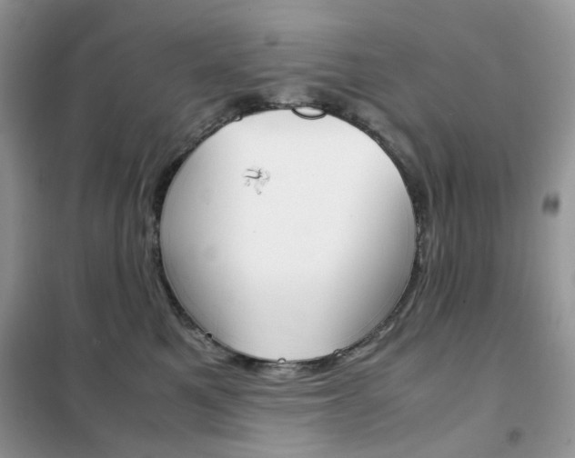 X0000102340521200808010916
